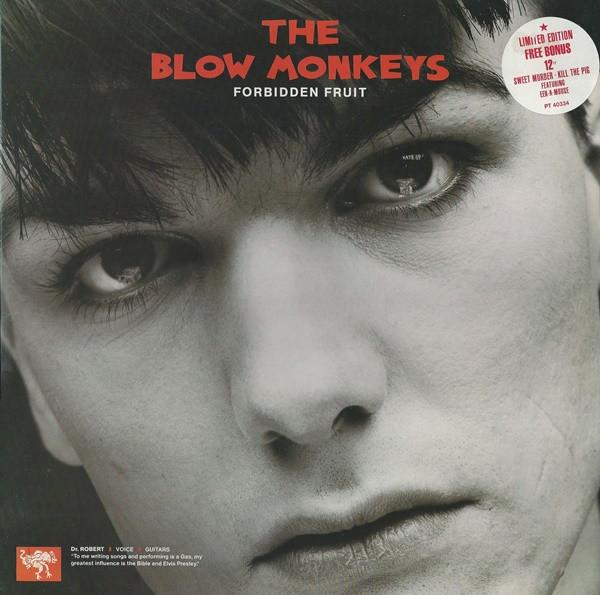 

12inch Record BLOW MONKEYS Forbidden Fruit PT40334 RCA 1985 UK Rock Used