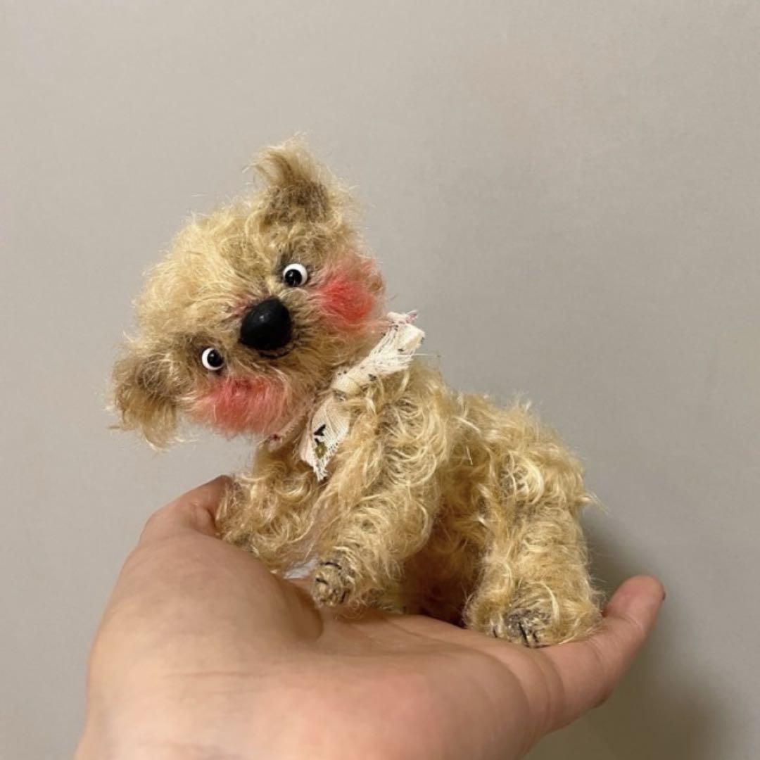 

[USED] Big-eyed bear plush toy by an overseas artist, teddy bear