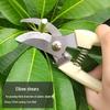 Garden Floral Art Pruning Shears - Branch and Flower Pruners for Horticulture