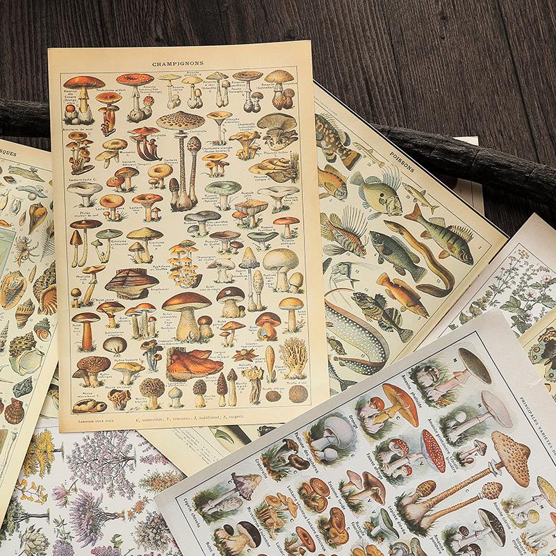 Retro Natural History Illustrated Journal & DIY Album: 15 Double-Sided Sheets for Decoration