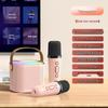 Y1 Bluetooth Wireless Children's Home KTV Microphone Speaker Set