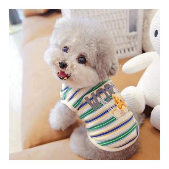 AmzBarley Dog Clothes Shirt, Spring, Striped Bear Print, Made of Cotton, Sleeveless, Dog Clothes, Small Dogs, Spring/Summer Tank Top, Cute, Popular,