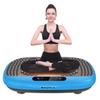 LDIWEI R102 Home Vibration Plate Fitness Machine