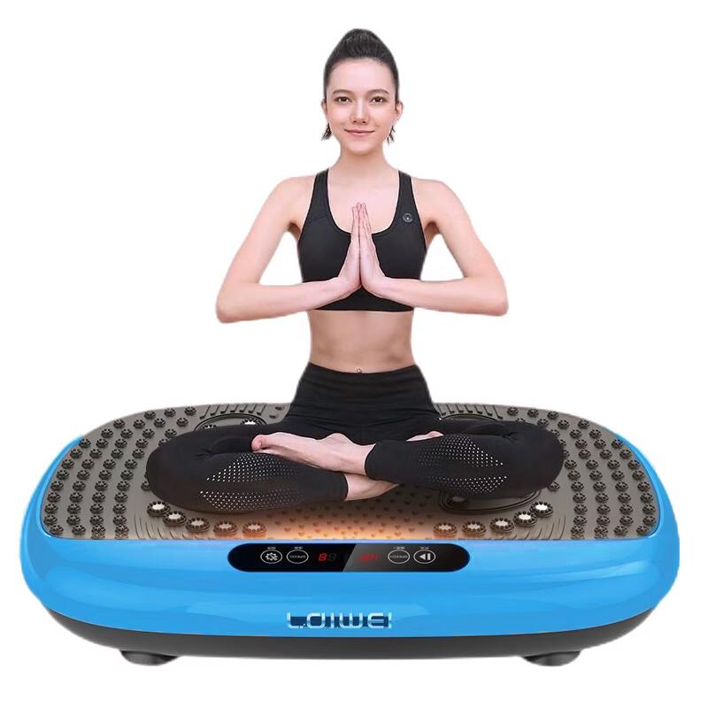 LDIWEI R102 Home Vibration Plate Fitness Machine