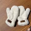Winter Mink Imitation Solid Color Gloves