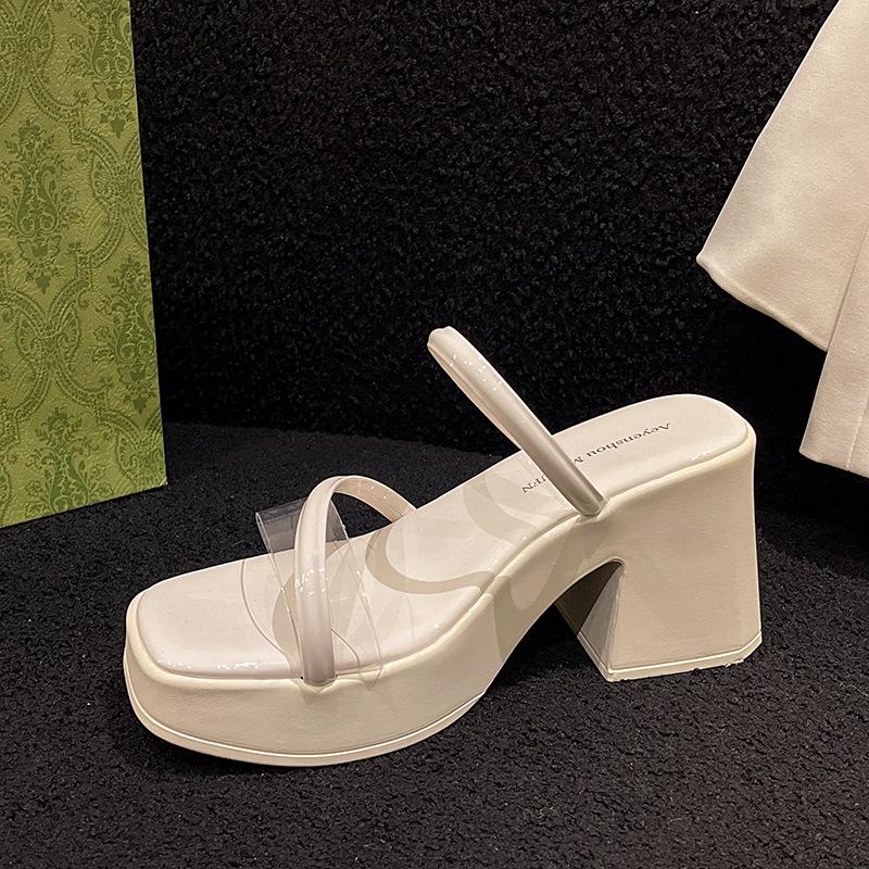 Small Thick Heel Slippers Women's 2025 New Summer Transparent Belt Outer Wear Fashion Temperament with Skirt Beach Sandals