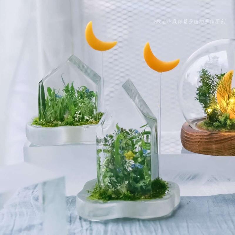 Epoxy Resin Molds House Shaped Silicone Mold for Insect Plant Specimen DIY Tools Specimen Making Tool Supplies