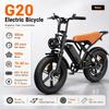 G20 Mountain Off-road Electric Bicycle, an Outdoor Electric Bicycle, Has a 250W48V15.6Ah Power Supply