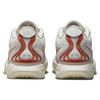 New Nike LeBron 21 'Akoya' FV2345-001