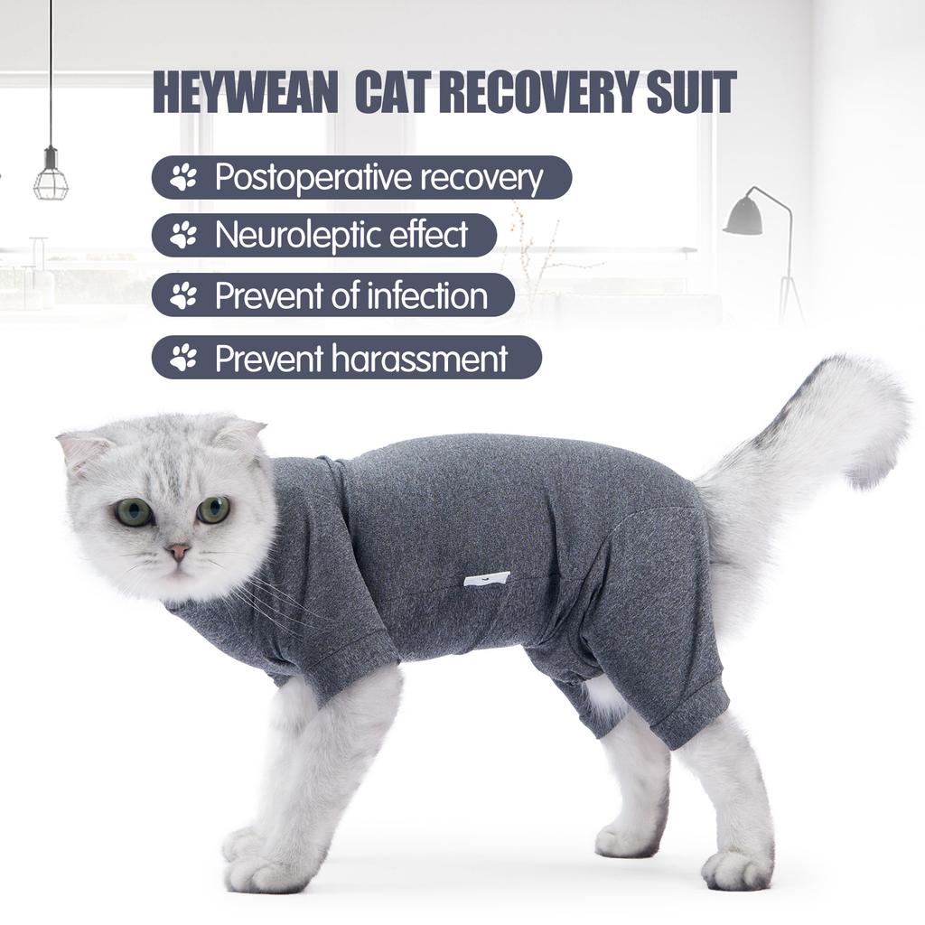 Pet Cat Anti-hair Loss Four-legged Clothes Cat Clothes Cat Clothes Cat Clothes Cat Postoperative Clothes Cat Sterilization Clothes
