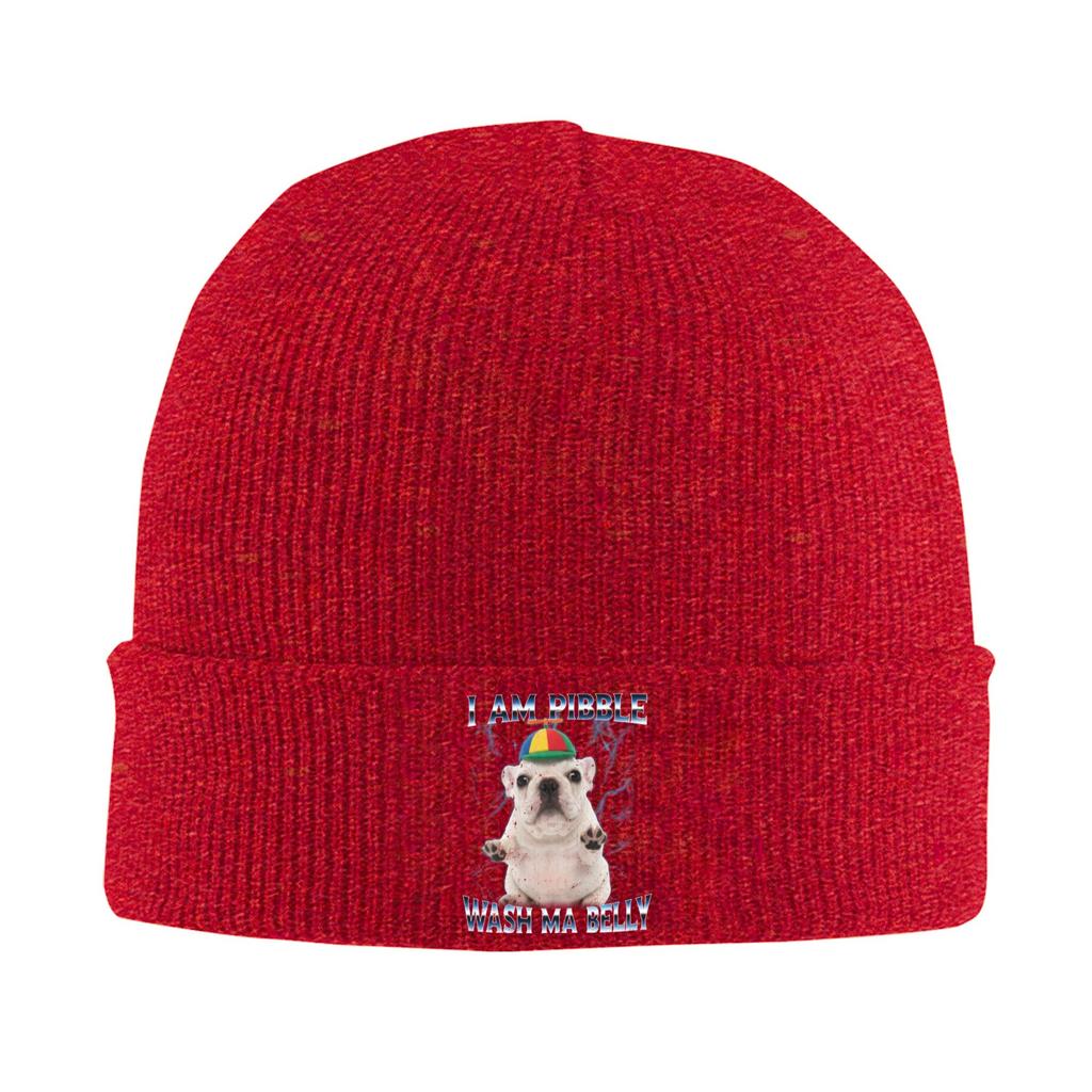 Women Men Rib Knit Cuffed Beanie Funny Pibble Meme Wash My Belly Accessories Warm Skull Knitted Hat Cap  Bonnet Hats