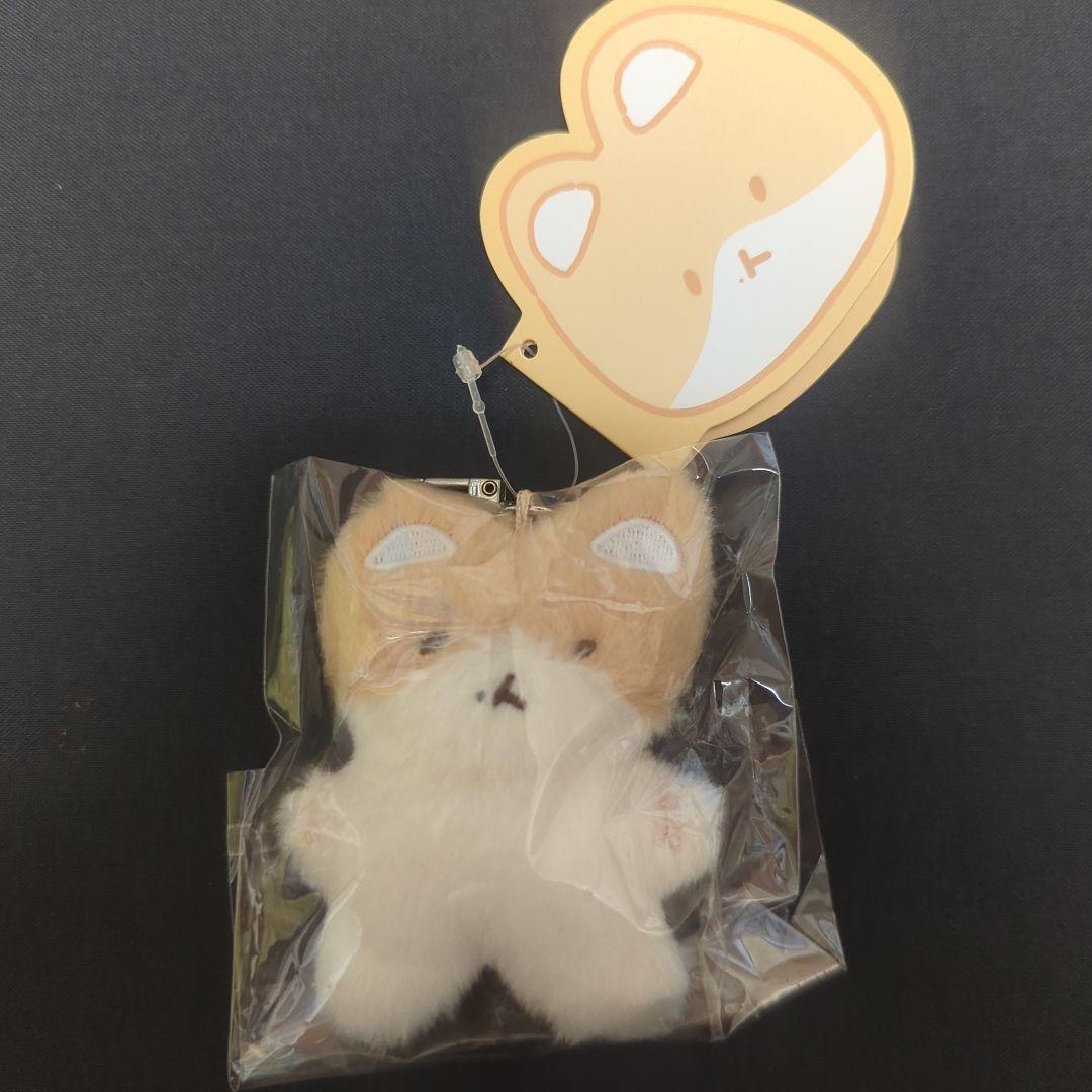 

[USED] Baekhyun Tregi Keyring