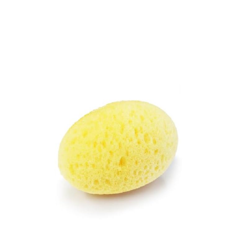 PairLab Artificial Sponge for Commercial Use pieces Sanitary New Material as an Alternative to Traditional High Economical (10 total) Supplies,