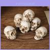 Halloweenská lebka Dekorace Miniaturní pryskyřičná figurka Pro párty a jako dárek