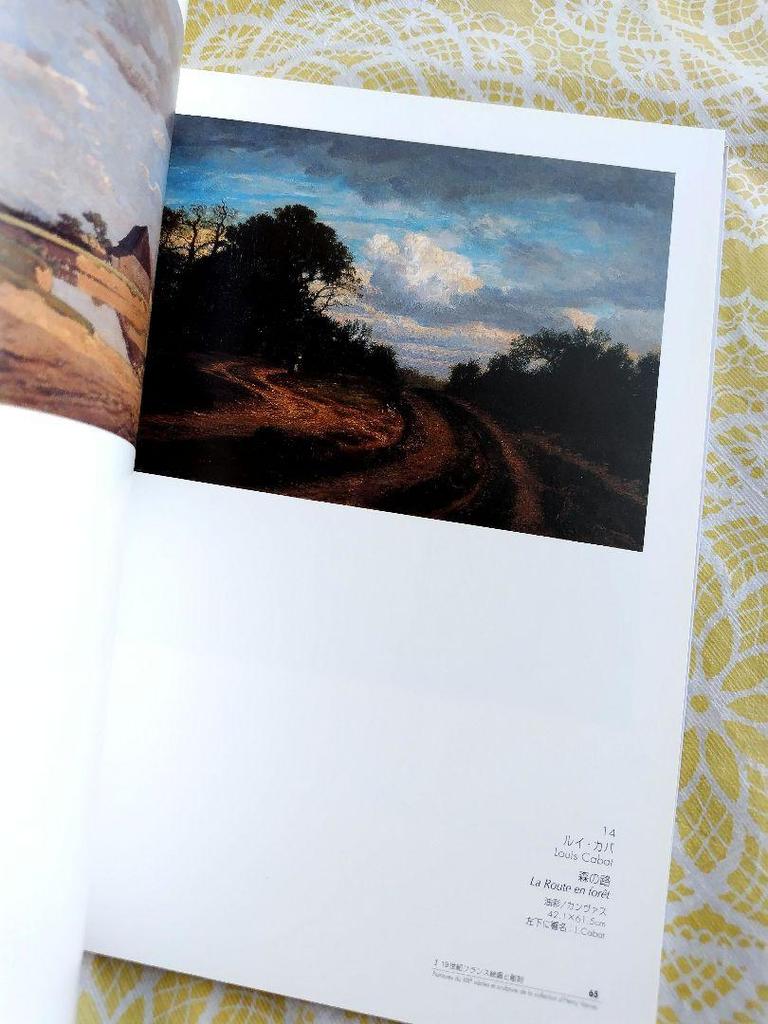 [USED] Catalogue of the Reims Museum Exhibition: The Beauty of 19th Century French Art