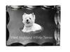 West Highland White Terrier, Westie- Crystal with a Picture of a Dog, Glass Statuette with a Picture, Unique Frame with a Picture from Brand –