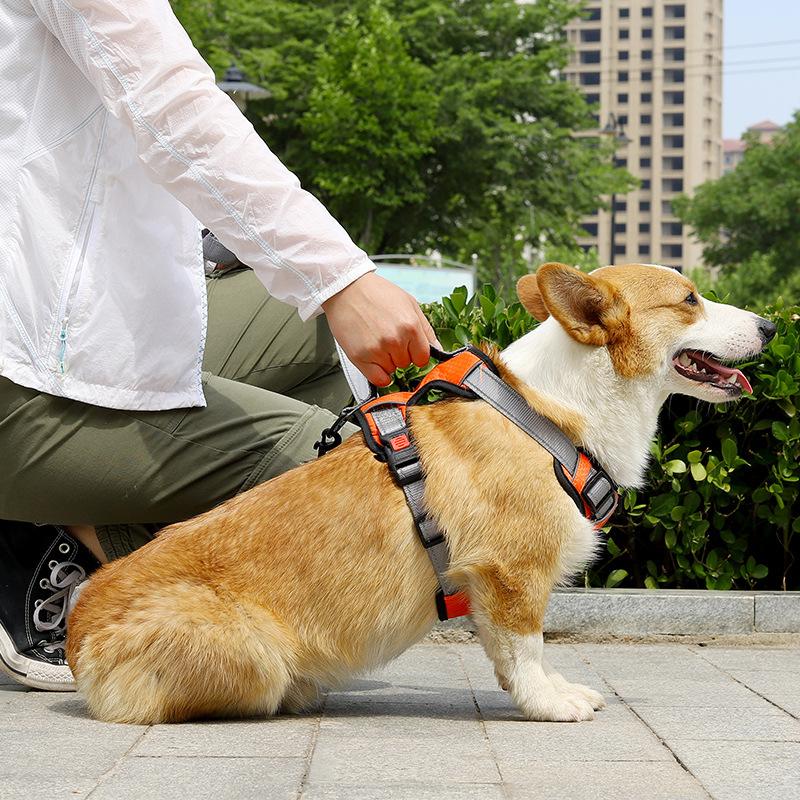 Dog leash vest type dog strap pet chest strap dog leash medium and large dog explosion-proof walking dog leash