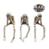 Startside See No Evil Hear No Evil Skull Figure Skeleton Interior Ornament Craft Resin Novelty Item 3-Piece Set