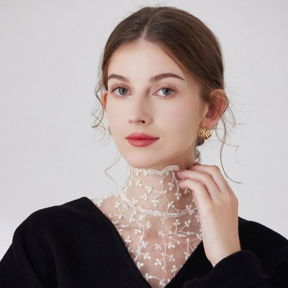 Transparent Lace Fake False Collar Elegant Detachable High Collar False Blouse  Clothes Accessories