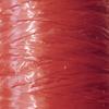 Raphia synthétique Rouge 40 g