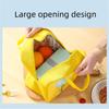 Cartoon Lunch Bags for Children Lunch Box Thermal Picnic Food Storage Container Bags for Children Packed Lunch Bento Box