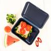 Lunchbox Lunchbox School Lunchbox