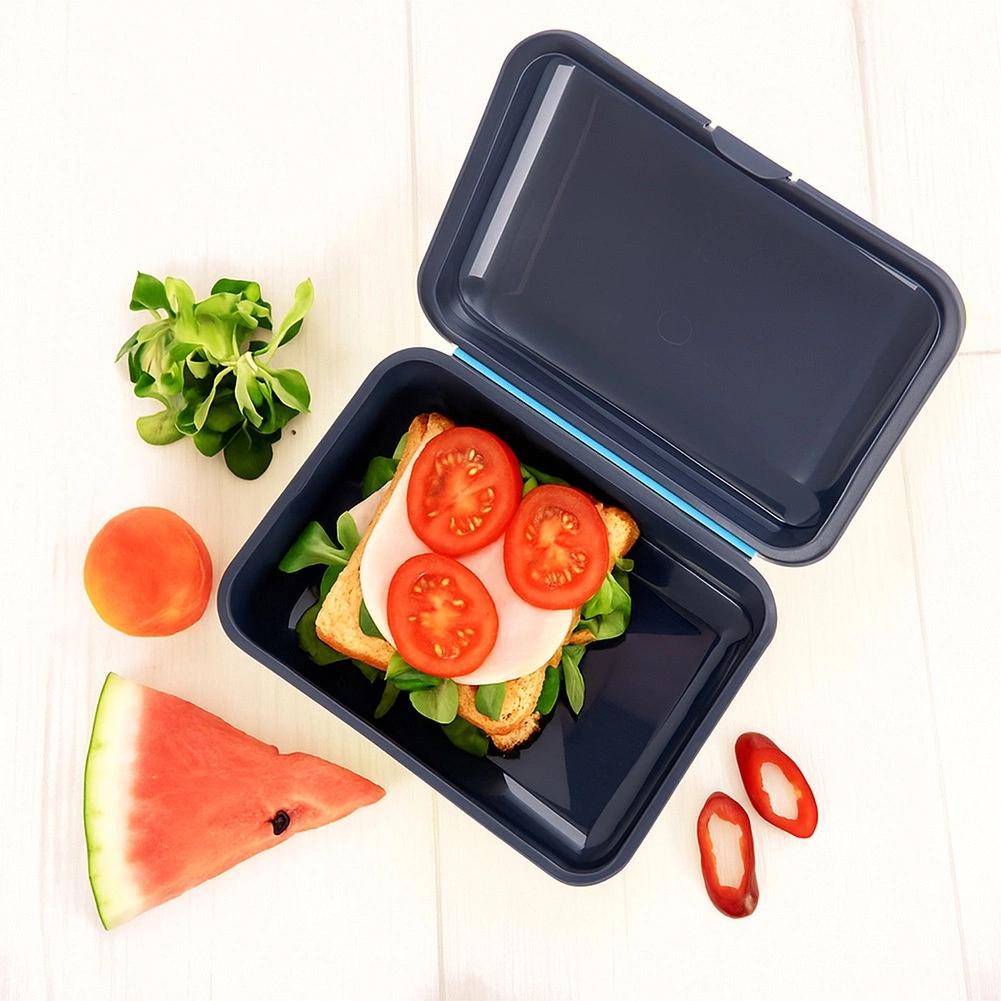 Lunchbox Lunchbox School Lunchbox