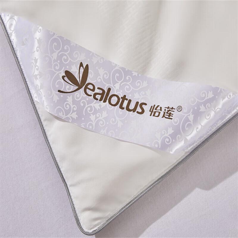 Huaxia Shengjin Natürliche Tussah-Seidendecke