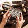 Diumy Kalimba Thumb Piano, 21 Keys, Transparent Crystal Kalimba, Musical Instrument Gift, Cute and Popular, Perfect for Beginners, Gift, 21 Tones, 1