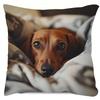 Duitse Teckel Wiener Hond Kussenhoes - Enkelzijdig Schattig Huisdier Ontwerp, Hedendaagse Woondecoratie Voor Bank & Bed (Geen inzetstuk meegeleverd)