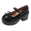 Retro Black British Style Thick High-heeled Small Leather Shoes Women's 2025 New Summer Skirt Versatile Mary Jane Single Shoes