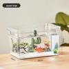 Elegant Transparent Fish Tank with Base Cabinet - Creative Living Room Aquarium Ornament and Artificial Pond Landscaping