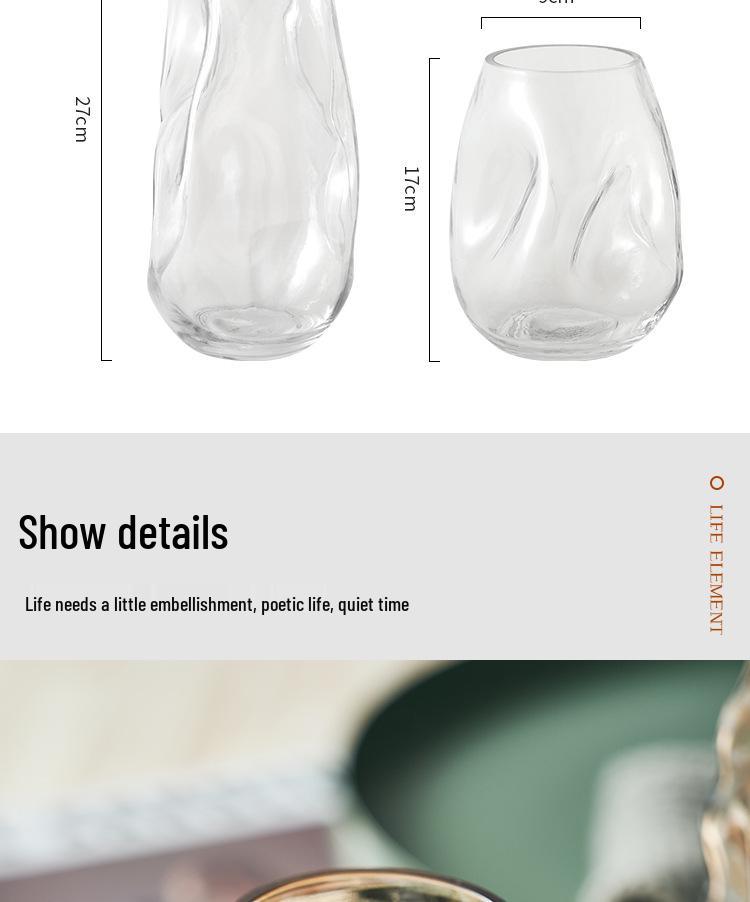 Nordic Style Irregular Glass Vase for Desktop Hydroponics