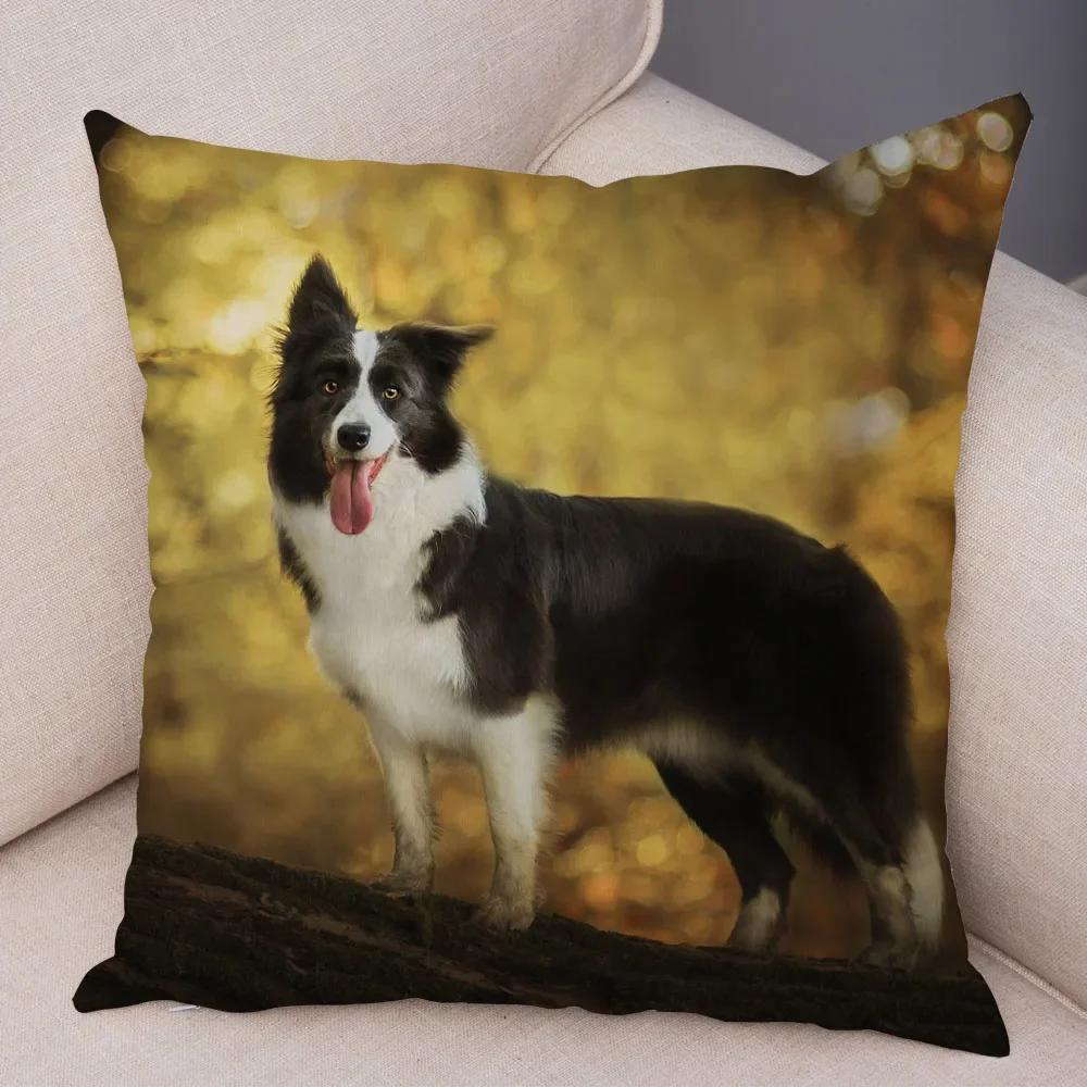 Cute Pet Animal  Cushion Cover Scotland Border Collie Pillowcase for Sofa Car Decor Dog Printed Soft Plush Pillow Case