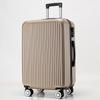 20-Inch Carry-On & 24-Inch Large Capacity Drop-Resistant Suitcase with Silent Wheels & Combination Lock
