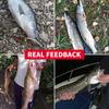 MEREDITH Crazy Shiner II Soft Lure 65 mm 80 mm Rybářská návnada Shad Silikonové návnady T-tail Wobblers Swimbait Umělá polévka leurre