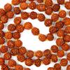 7MM Sacred Rudraksha Mala|Authentic Meditation Beads for Spiritual Prayer, Yoga, and Positive Energy| Japa Mala from Genuine Rudraksha Seeds