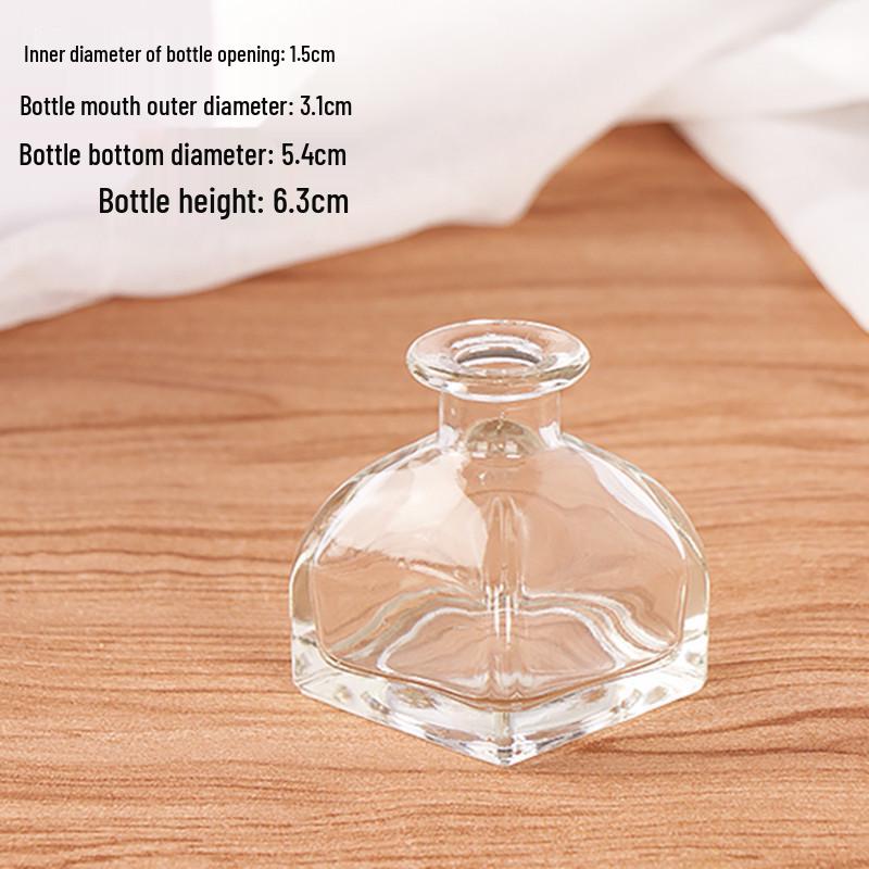 Nordic Creative Glass Vase - Simple Hydroponic & Dried Flower Desktop Decor.