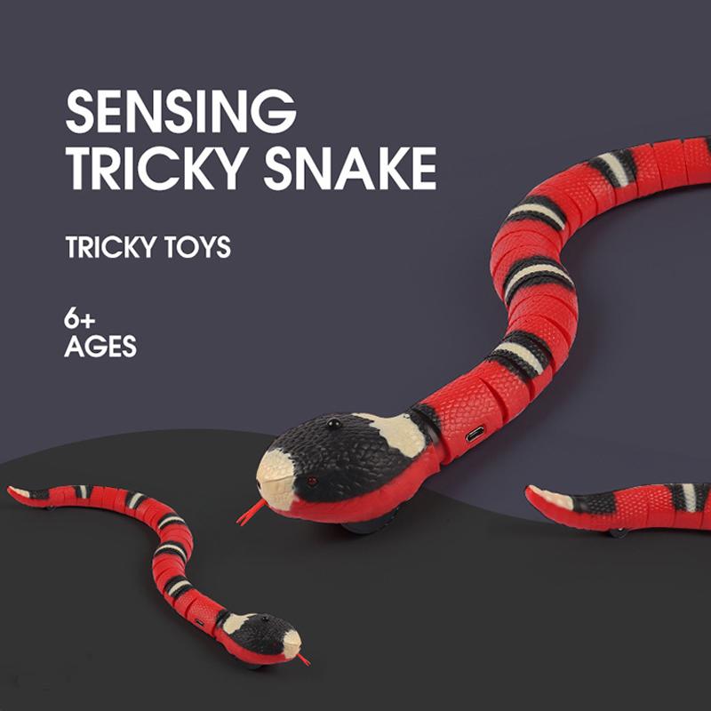pet snake accessories