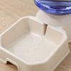 Smart Plastic Removable Cat Food Bowl Cat Accessories Cat Feeding Dish Cat Water Dispenser