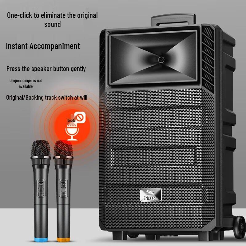 Soaiy SA-T20 12-inch Portable Bluetooth Karaoke Speaker CN plug (adapter included)
