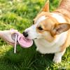 2‑in‑1 Leak‑Proof Compact Portable Dog Travel Water Bottle, Stainless Steel Pet Drink Bottle for Small Dogs with Silicon