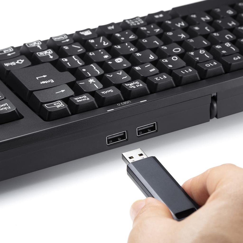 Sanwa Supply Kompakte Tastatur mit USB-Hub Schwarz mit Ziffernblock (SKB-KG2UH2BK)