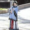 Traditional Chinese Hanfu Dress With Embroidered Ma Mian Skirt Ming Dynasty Style Womens Formal Outfit