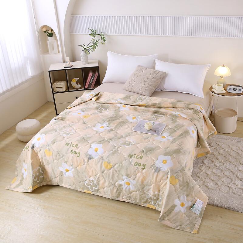 Qingqing Mugwort Antibacterial Summer Quilt