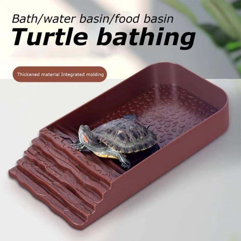 with Ramp Reptile Water Dish Plastic Bathing Pool Reptile Ramp Turtle Bath Basin  All Seasons