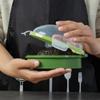 Avocado Fresh-Keeping Sealed Storage Box Gadget