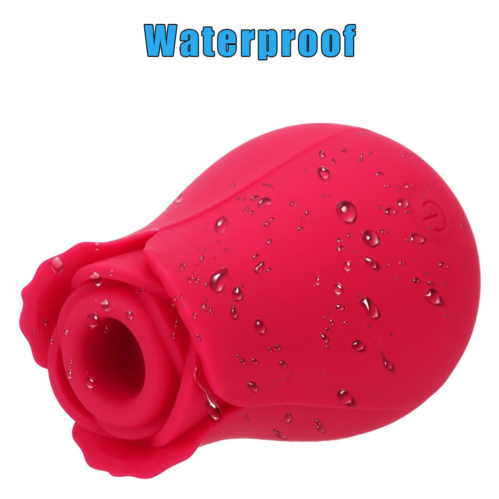 Oral Nipple Sucker Vaginal Sucking Vibrators 10 Speeds Rose Shape Clitoris Stimulation Adult Sex Toys Products