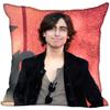 Aidan Gallagher Kissenbezug Heimdeko Kissenbezüge Unsichtbarer Reißverschluss Dekokissenbezüge 45X45cm 0704