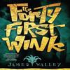 The Forty First Wink by James Walley Paperback Book 9781946025548